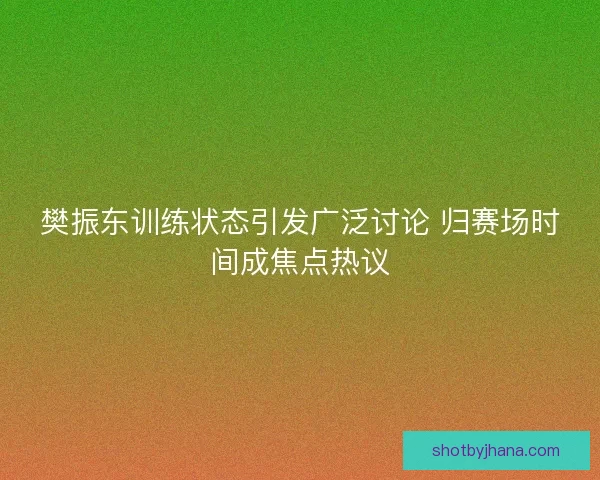 樊振东训练状态引发广泛讨论 归赛场时间成焦点热议